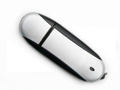 Oval USB Drive For Business Gift