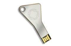 Key Shape USB Flash